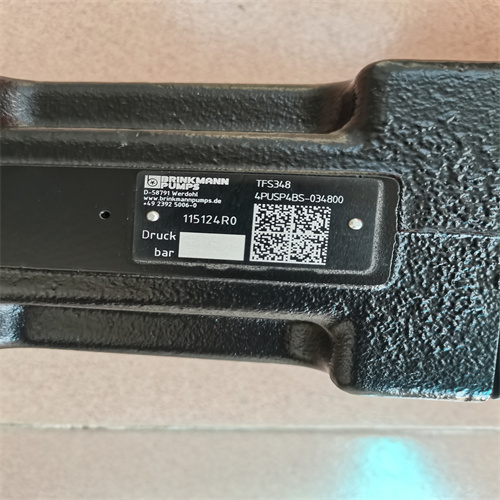 單泵 4PUSP4BS-034800 (4)