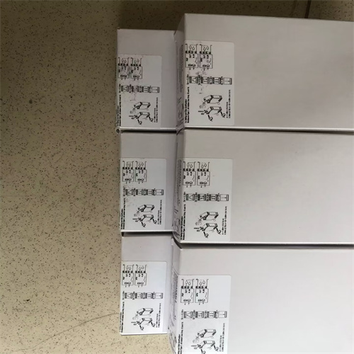 QQ圖片20230505145048