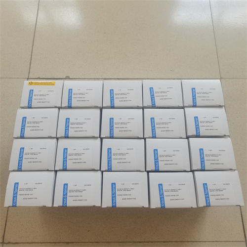 旋鈕開關(guān) CH10 D-204V 17 KD1 (4)