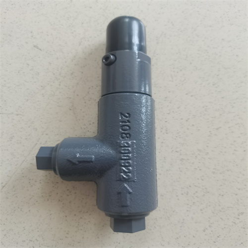 泄壓閥 SPV 10 C1G 1 A 12 (2)