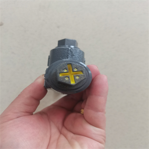 泄壓閥 SPV 10 C1G 1 A 12 (6)