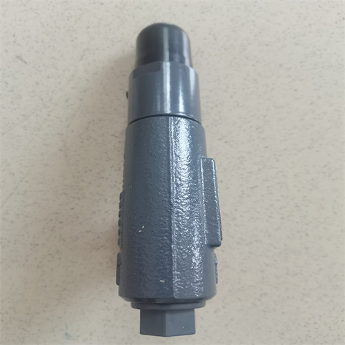 泄壓閥 SPV 10 C1G 1 A 12 (4)