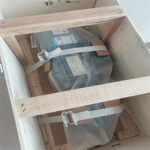 電機(jī) R27 DRN80M4-BE1 (7)