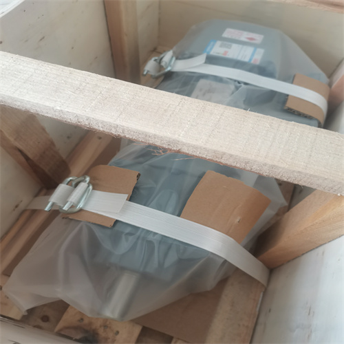 電機(jī) R27 DRN80M4-BE1 (3)