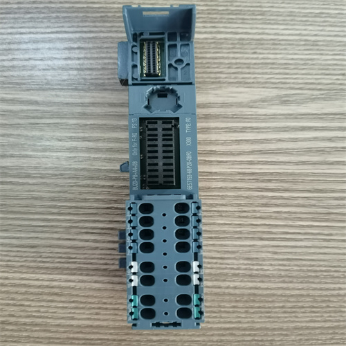 模塊 6ES7193-6BP20-0BF0 (5)
