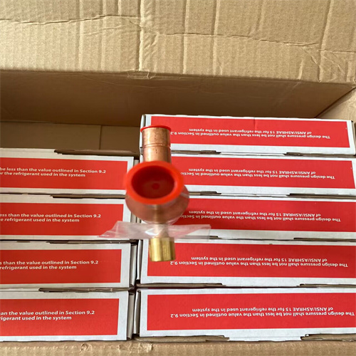 QQ圖片20231229142619