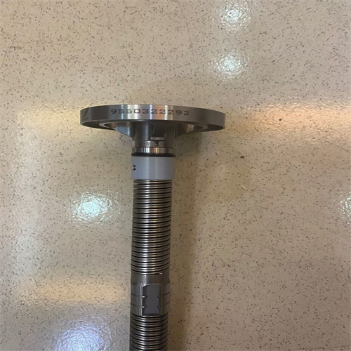 QQ圖片20240103170932