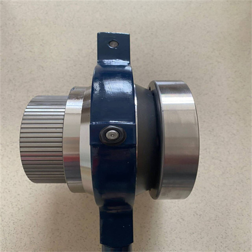 QQ圖片20240126174500