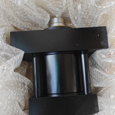 油缸 型號:125CJJHMIRN19MC50M2244 (1)