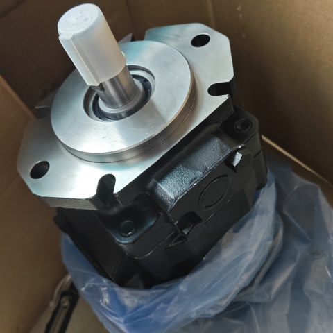 液壓泵T7DDS-E31-E31-1R01-A1M0 (1)