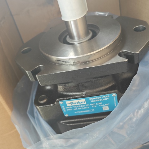 液壓泵T7DDS-E31-E31-1R01-A1M0 (4)