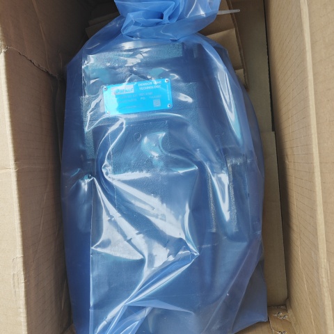 液壓泵T7DDS-E31-E31-1R01-A1M0 (2)