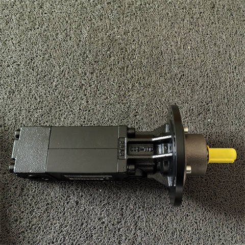 德國KNOLL螺桿泵KTS 25-50-T-G-KB (2)