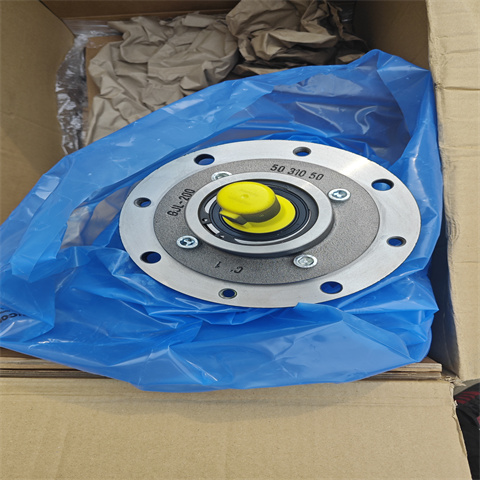 KNOLL螺桿泵 KTS 40-96-T (7)