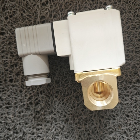 電磁閥1237501 (4)