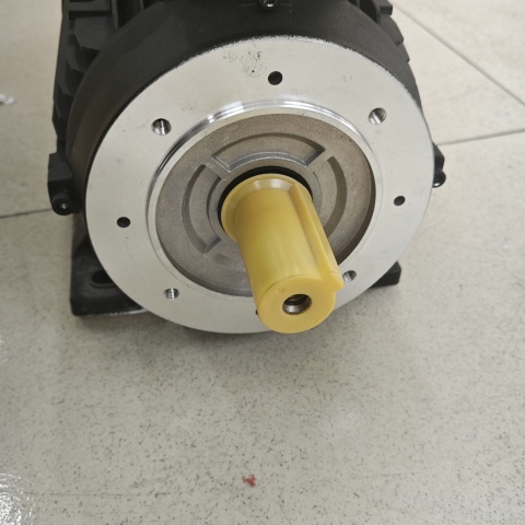 電機(jī)HMA3 100L-2 (5)