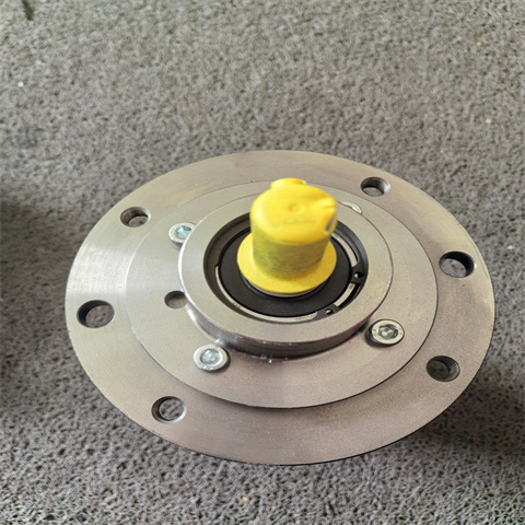 螺桿泵KTS 25-60-T-G (8)