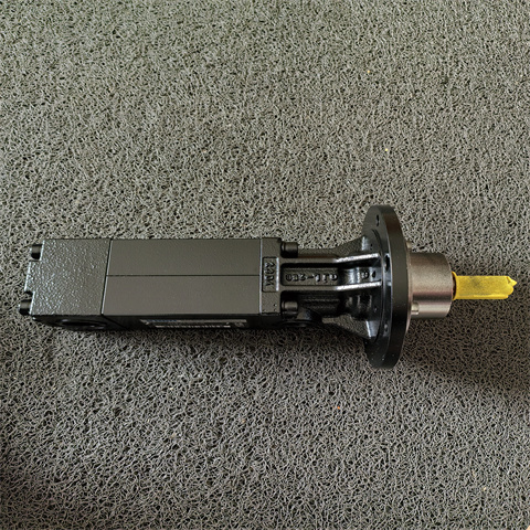 螺桿泵KTS 25-60-T-G (4)