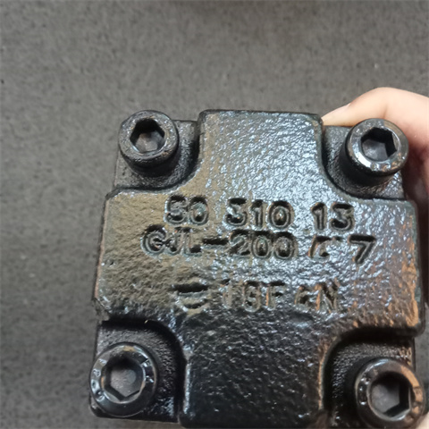 螺桿泵單泵 KTS 25-60-T (6)