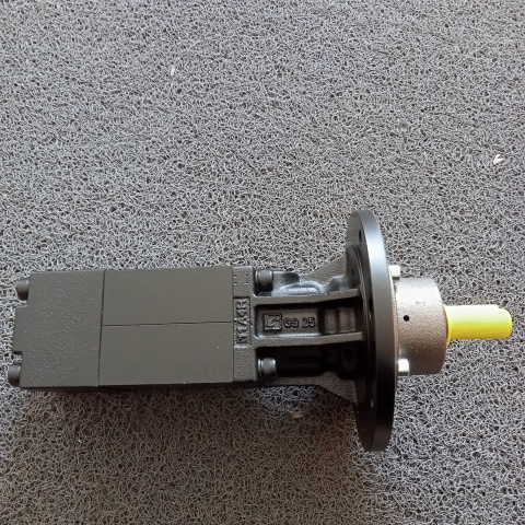 螺桿泵KTS 20-48-T-G (2)