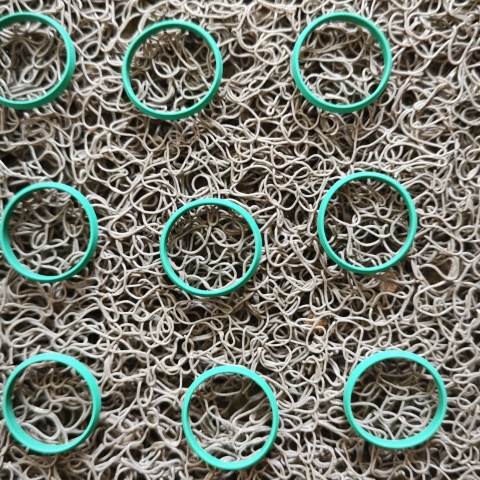 密封圈WAL610876 (1)