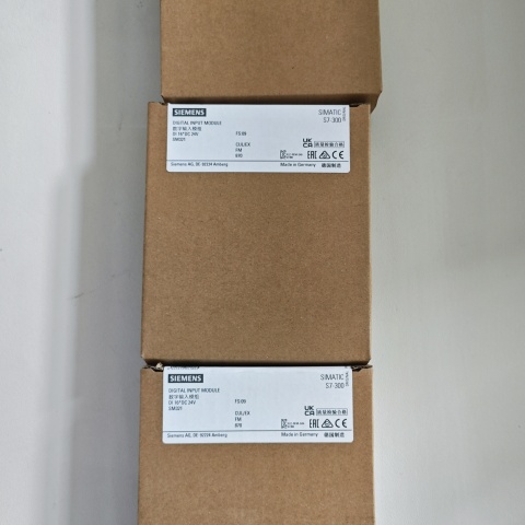 模塊6ES7321-1BH02-0AA0 (2)